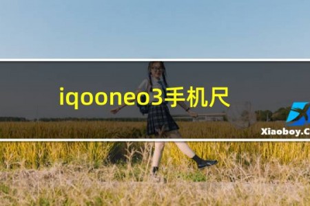 iqooneo3手机尺寸